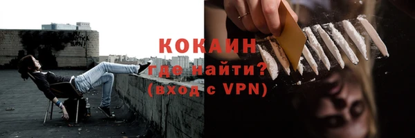 хмурый Аша