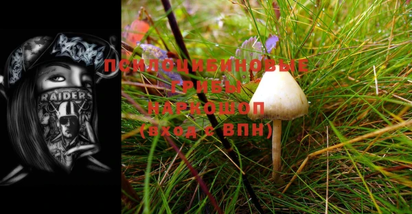 первитин Алексеевка