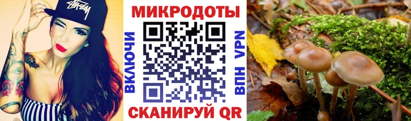 хочу Елабуга Псилоцибиновые грибы Psilocybine cubensis