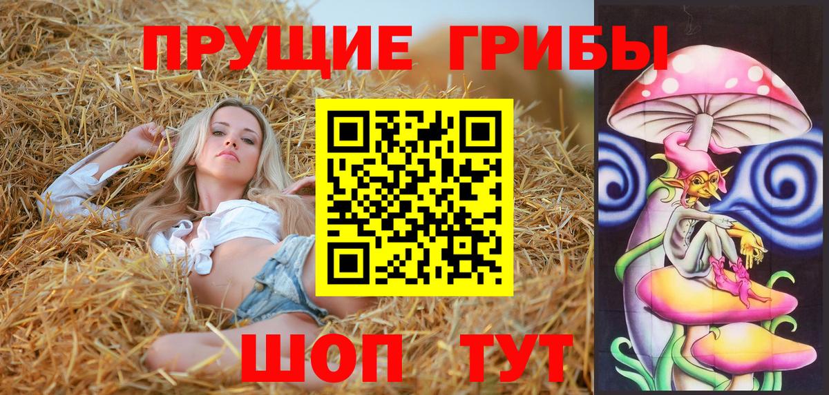 Псилоцибиновые грибы GOLDEN TEACHER Елабуга